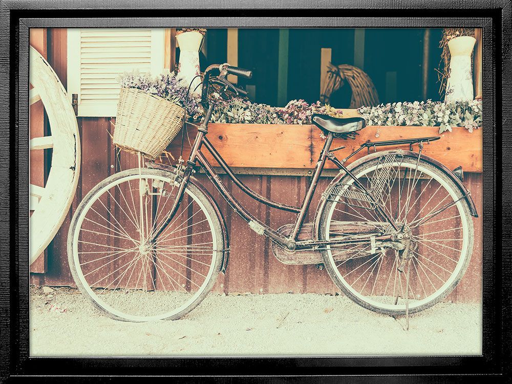 Картина PGL-65, картина велосипед