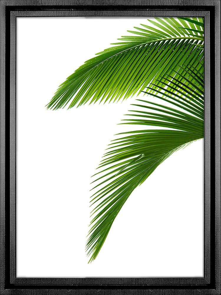 Картина PGL-109, картина пальма