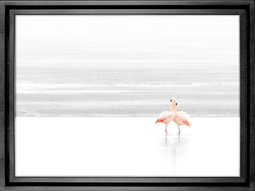Картина PGL-110, картина фламинго
