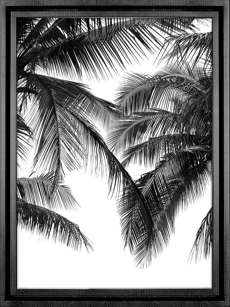 Картина PGL-105, картина пальмы