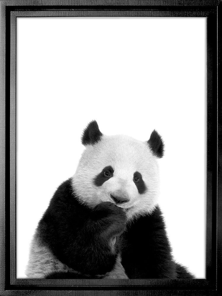 Картина PGL-15, картина панда