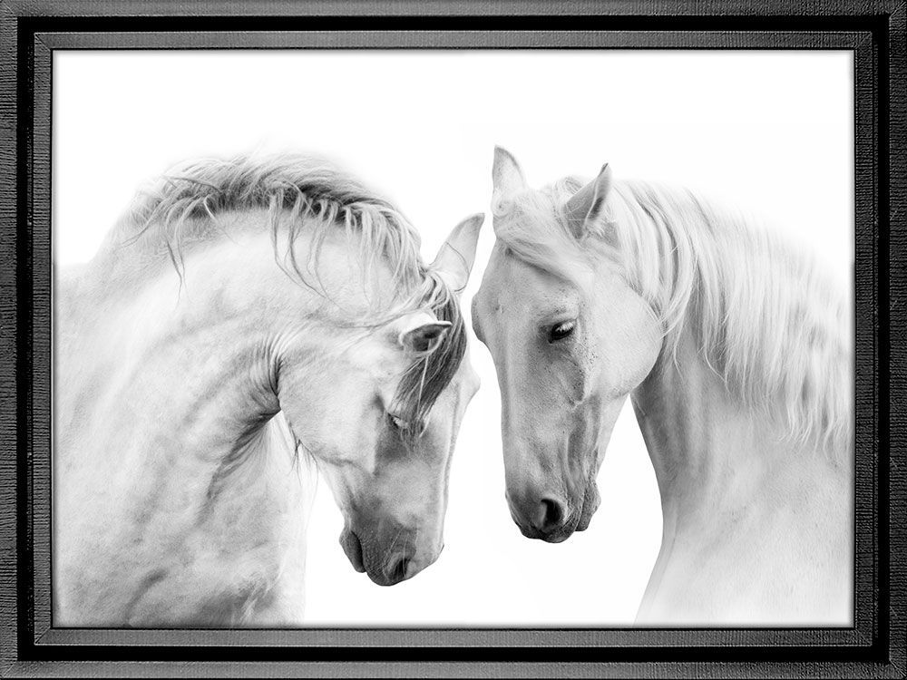 Картина PGL-103, картина лошади