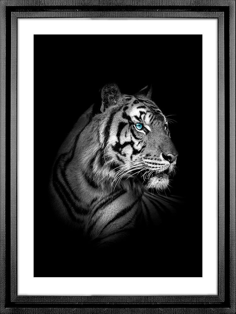 Картина PGL-113, картина тигр