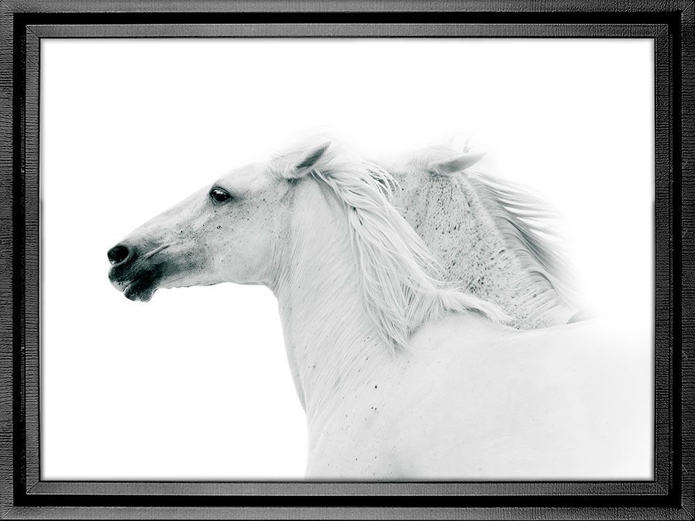 Картина PGL-102, картина лошади