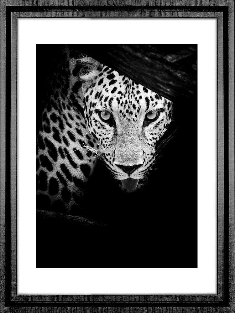 Картина PGL-120, картина леопард