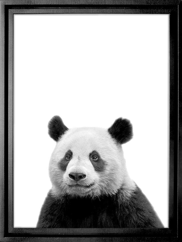 Картина PGL-16, картина панда