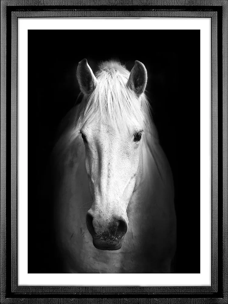 Картина PGL-101, картина лошадь