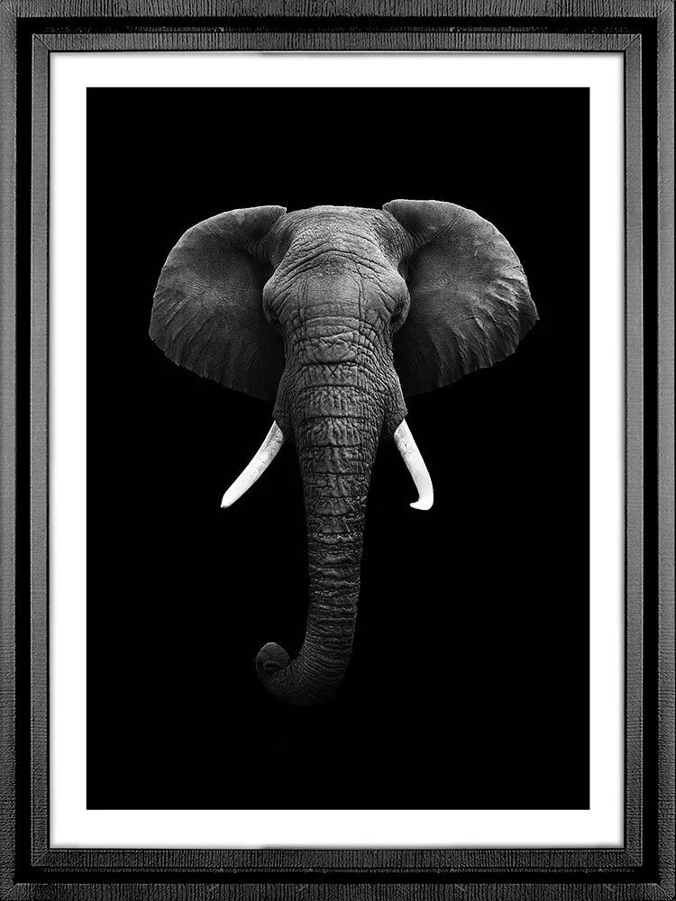Картина PGL-108, картина слон